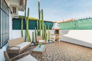 un patio con sillas y cactus en un edificio en Dúplex junto a la playa en Sanlúcar de Barrameda