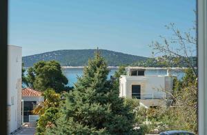 a christmas tree in front of a house and a lake at Apartments and Room Anka in Vodice