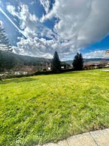 pole zielonej trawy z pochmurnym niebem w obiekcie Gérardmer Appt 4/6 rez de jardin w mieście Gérardmer