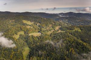 an aerial view of a forest of trees at Górna Chata Mountains Chalet - Stable Cottage in Ochotnica Górna
