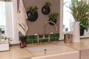 a kitchen sink with plants on the wall at Woodlands Villa in George +33 photos
