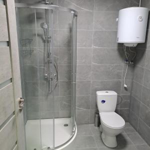 a bathroom with a toilet and a glass shower at Žvejo krantas Palūšė in Palūšė
