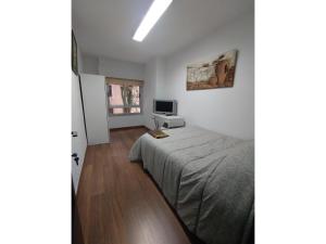 Postel nebo postele na pokoji v ubytování Apartamento Puerta Nueva (Universidad la Merced)