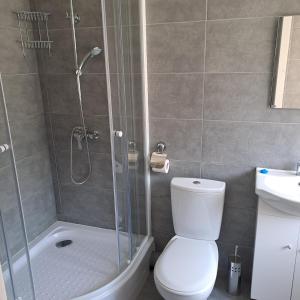 a bathroom with a shower and a toilet and a sink at Žvejo krantas Palūšė in Palūšė