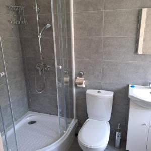 a bathroom with a shower and a toilet and a sink at Žvejo krantas Palūšė in Palūšė +15 photos