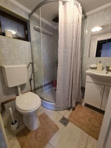 y baño con ducha, aseo y lavamanos. en Casa Bonita Saliste, en Sălişte