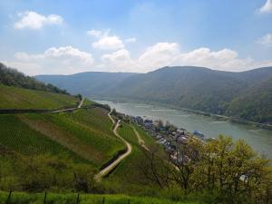 ariale Aussicht auf einen Fluss und ein Tal mit einer Stadt in der Unterkunft Pension Milberg Assmannshausen in Rüdesheim am Rhein