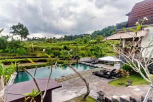 an aerial view of a pool at a resort at AlamGangga Villas Tirta Gangga in Tirtagangga
