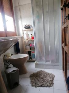 a bathroom with a shower and a toilet and a rug at Demetra Piccola Casa Vacanze in Ielsi