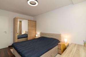 a bedroom with a large bed and a mirror at Georgi's 1 Bedroom Quiet Apartment with Garage in Sofia