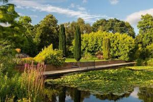 a garden with a pond with water lilies and trees at Beautiful Peaceful Cottage Overlooking The Museum in Weybridge
