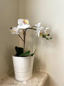 a white vase with white flowers on a table at Turquaze Guesthouse in Muscat