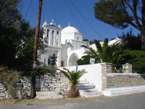 a white building with a palm tree in front of it at Παλιό κελάρι σε πέτρινο σπίτι in Áno Potamiá