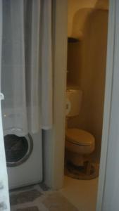 a bathroom with a toilet and a shower curtain at Παλιό κελάρι σε πέτρινο σπίτι in Áno Potamiá