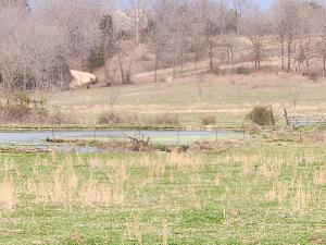 un champ d'herbe avec une clôture et un étang dans l'établissement Goin Bonanza Glamping Ranch, à Hardy