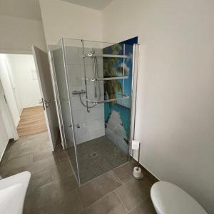 a bathroom with a shower and a toilet in it at Moderne Gästewohnung "Am Weinberg"mit Terrasse in Oschatz