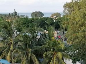 a view of a bunch of palm trees and the ocean at M Tower Appartment in Post of Flacq