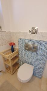 a bathroom with a white toilet and a blue tile counter at Apartments Ruzic Njivice in Njivice +69 photos
