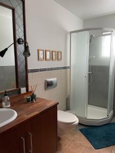 a bathroom with a shower and a toilet and a sink at Bjarkarlækur - Meet the Locals in Reykholt