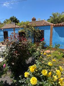 Ogród w obiekcie Casa Asuncion
