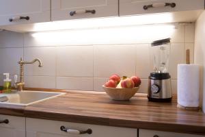 - un bol de pommes sur un comptoir de cuisine avec un mixeur dans l'établissement Vedrana-Free garage, à Zagreb