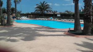 a large swimming pool with chairs and palm trees at La Perle du Littoral in Vias