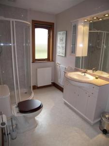 a bathroom with a toilet and a sink and a shower at Collin Hill House in Castle Douglas
