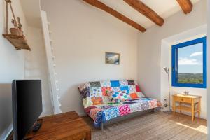 ein Wohnzimmer mit einem Sofa und einem TV in der Unterkunft Mas Tinus - Palmera in Santa Cristina d'Aro