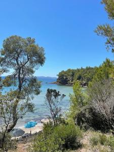 a view of a body of water with trees at Appartement 1er arrondissement in Marseille