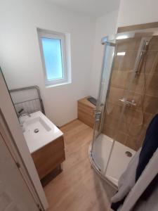 a bathroom with a shower and a sink at Cottage neuf - Forêt de Tronçais in Urçay