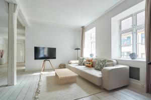sala de estar con sofá y TV de pantalla plana en Spacious Flat Centrally Located in CPH's Old Town en Copenhague
