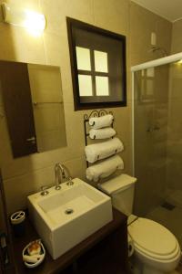 La salle de bains est pourvue d'un lavabo, de toilettes et d'un miroir. dans l'établissement Pousada Alto Itaipava, à Itaipava
