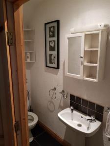 a bathroom with a sink and a toilet at Eddie's Roadside Thatched Cottage 