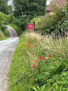 a field of grass and flowers next to a road at The Forge, Pillar Box Farm Cottages in Ludlow