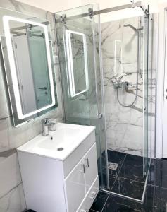 La salle de bains est pourvue d'un lavabo blanc et d'une douche. dans l'établissement skadarlija bohemian, à Belgrade