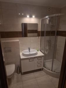 uma casa de banho com um lavatório, um chuveiro e um WC. em Sweet Home & Sweet Cats & Fast internet em Breslávia
