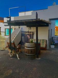 Galería fotográfica de Acogedor apartamento Verodes de una habitación. en San Miguel de Abona 4 fotos más