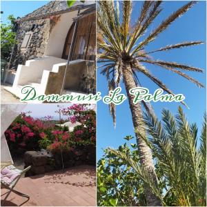 een collage van foto's met een palmboom en een gebouw bij La Palma in Pantelleria