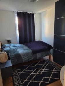 een slaapkamer met een bed met een blauw gordijn bij Chaleureux 2 pièces proche de Paris & La Défense in Colombes