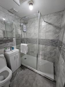 a bathroom with a shower and a toilet at Entire Spacious Modern One Bedroom House in Swindon