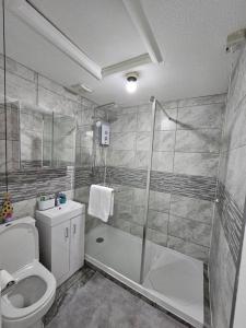 uma casa de banho com um chuveiro, um WC e um lavatório. em Entire Spacious Modern One Bedroom House em Swindon