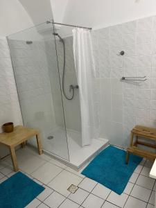 een badkamer met een douche en een glazen deur bij GRAN hostel in Banská Bystrica