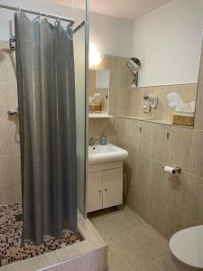 普洛耶什蒂的住宿－La o Barfa，浴室配有淋浴帘和盥洗盆。