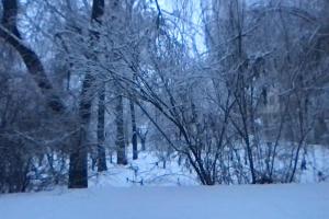 a snowy forest with trees and snow covered ground at Italian Villa in Turbaţi