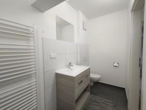 a white bathroom with a sink and a toilet at City House - up to 8 Persons in Kapfenberg