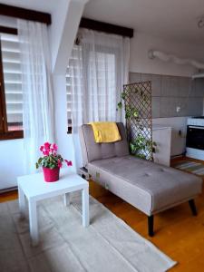 - un salon avec un canapé et une table dans l'établissement Casa Bonita Saliste, à Sălişte