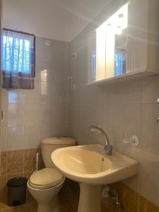 a bathroom with a sink and a toilet and a mirror at Villa Helen in Asprovalta