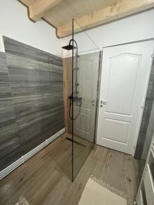 a bathroom with a shower and a glass door at Căsuța lui Gogu in Borsa