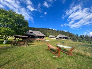 a couple of benches in a field with a house at Căsuța lui Gogu in Borsa