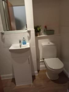 y baño con aseo, lavabo y espejo. en Penllech House - Huku Kwetu Notts - 3 Bedroom Spacious Lovely and Cosy with a Free Parking- Affordable and Suitable to Group Business Travellers, en Nottingham